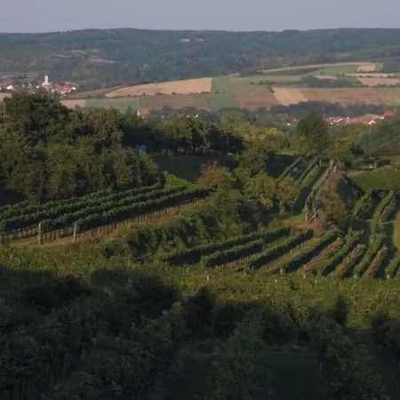 Weingut Stopfer * Minichhofen