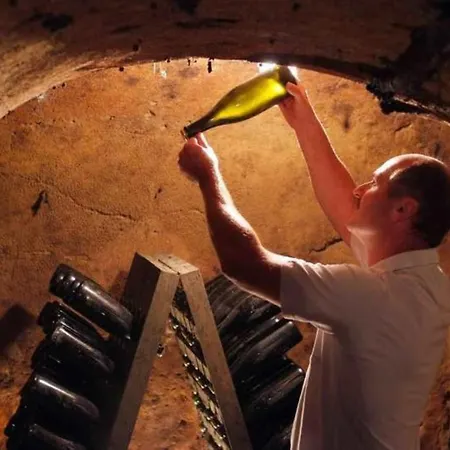 Weingut Stopfer Inn Minichhofen